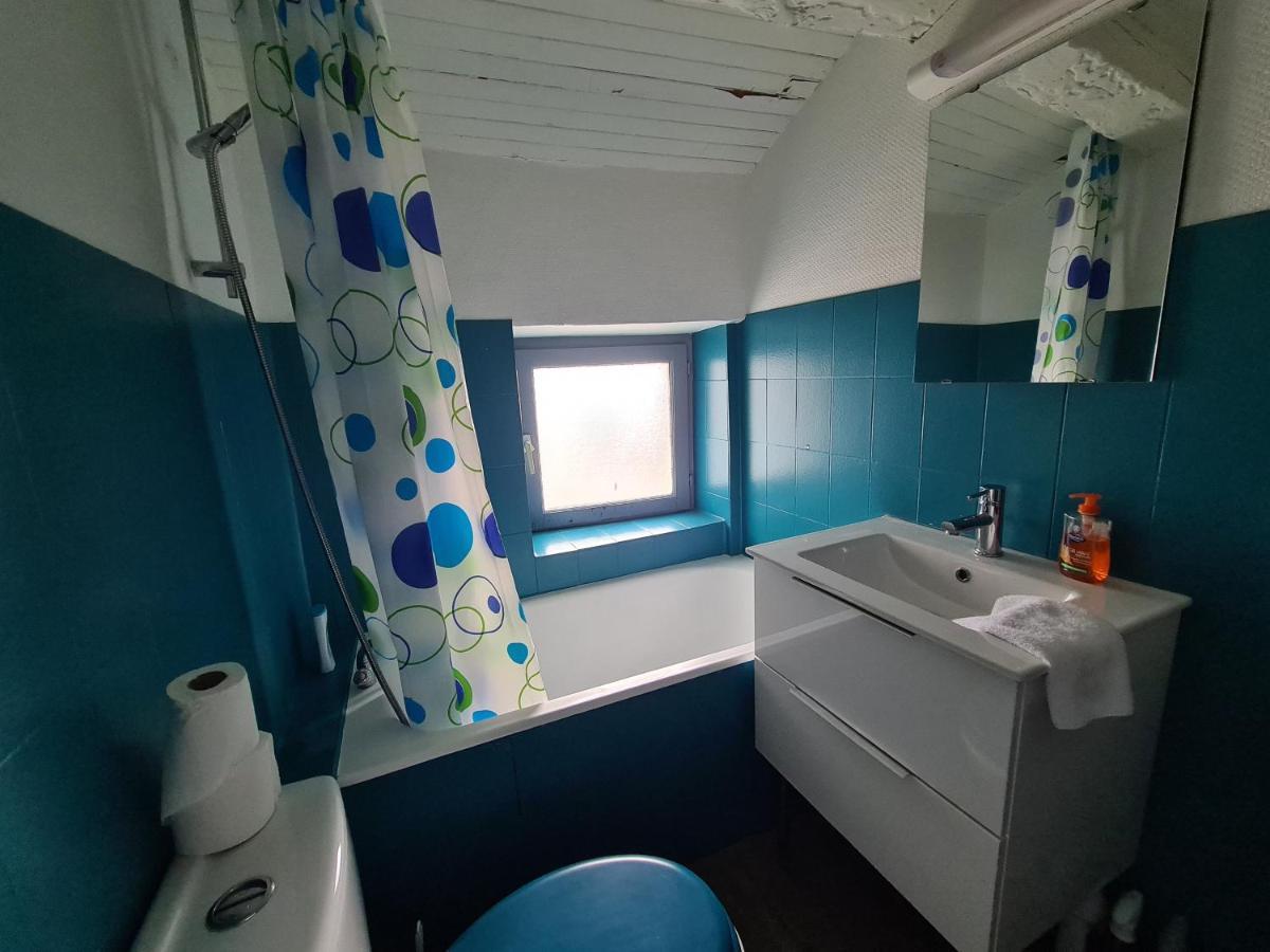 Les Cosy De Nancy - Le Duplex Aux Flammants Roses - 4Etoiles Apartment Bagian luar foto